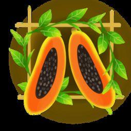 吃瓜贴纸素材下载安装免费,免费下载安装吃瓜贴纸，轻松打造趣味文章副标题  第3张